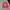 Pancoat Casual Sweatshirt Pria Multicolor Pink