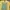 FUCT Biker Casual T-shirt Pria yellow photo 2