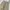 Wrangler Vintage Pria cream photo 6