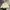 Sportswear Fleece Pria cream photo 1