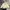 Sportswear Fleece Pria Cream
