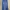 Dickies Vintage Indie Pria navy photo 1