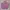 Luxury Avant Garde Puffer Jacket Wanita Purple Pink