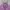 Luxury Avant Garde Puffer jacket Wanita purple pink photo 4