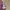 Luxury Avant Garde Puffer jacket Wanita purple pink photo 5