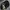 Vintage Streetwear Windbreaker Pria black photo 1