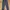 Snow Peak Streetwear Pria Multicolor