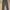 Snow Peak Streetwear Pria Multicolor