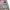 Luxury Biker Track jacket Pria multicolor photo 1