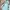 Adidas Sportswear Minimalist Windbreaker Pria multicolor photo 2