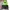 Nike Sportswear Minimalist Windbreaker Pria green gray photo 1