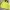 Eider Minimalist Windbreaker Pria Multicolor