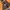 K-Swiss Minimalist Windbreaker Pria orange photo 7