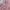 Minimalist Sweater Kids pink photo 2