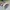 Minimalist Casual Baju muslim Kids cream photo 4