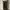 Streetwear Casual Casual pants Pria green photo 1