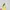 Fairy Coquette Summer dress Wanita yellow photo 1