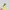 Fairy Coquette Summer Dress Wanita Yellow