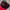 Casual Hat Pria Black Red