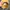 Japanese brand Vintage Streetwear Hat Pria yellow tan photo 5