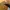 Japanese brand Vintage Streetwear Hat Pria yellow tan photo 6