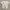 Y2K Grunge T-shirt Pria white photo 4