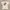 Y2K Grunge T-shirt Pria White