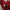 Vintage Y2K T-shirt Pria Red