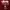 Stussy Streetwear Y2K T-shirt Pria red photo 2