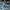 Louis Vuitton Luxury Casual Sneakers Pria white blue photo 5