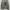 Jeep Casual Sweater Pria gray photo 1