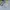 Minimalist Muslim Baju muslim Kids cream photo 1