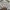 Abercrombie & Fitch Casual Sweater Pria khaki photo 2