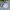 Casual Muslim Baju muslim Kids cream photo 3