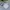 Casual Muslim Baju muslim Kids cream photo 1