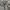 Casual Polo shirt Pria gray photo 2
