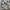 Vintage Muslim Baju muslim Kids brown photo 3