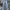 Uniqlo Streetwear Casual Jeans Pria multicolor photo 7