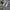 Uniqlo Streetwear Casual Jeans Pria multicolor photo 1