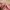 Pierre Cardin Streetwear Bra Wanita pink photo 3