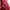 Vintage Y2K Bomber jacket Pria red photo 4