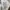 Alpha Industries Vintage Short Pria tan photo 4
