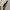 Japanese brand Vintage Vest Pria cream tan photo 5
