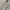 Japanese brand Vintage Vest Pria cream tan photo 3