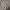 Marks & Spencer Streetwear Sweater Pria Tan