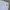 Dickies Casual Short Pria white photo 4