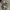 babyGap Outerwear Kids navy cream photo 8