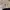 babyGap Outerwear Kids navy cream photo 5