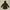 Tommy Hilfiger Outerwear Kids Green