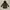 Tommy Hilfiger Outerwear Kids green photo 1